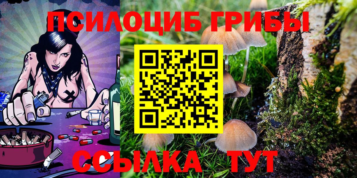 купить наркоту  Вход с VPN  Псков  Галлюциногенные грибы Psilocybine cubensis 